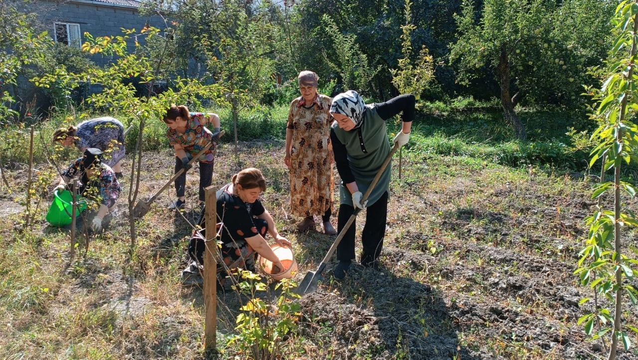 Социальная неотложка